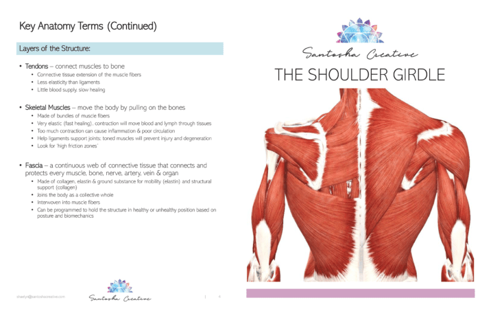 yoga booklet