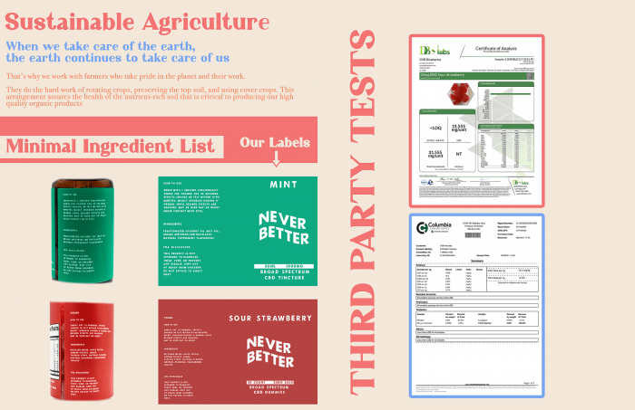 cannabis brochure