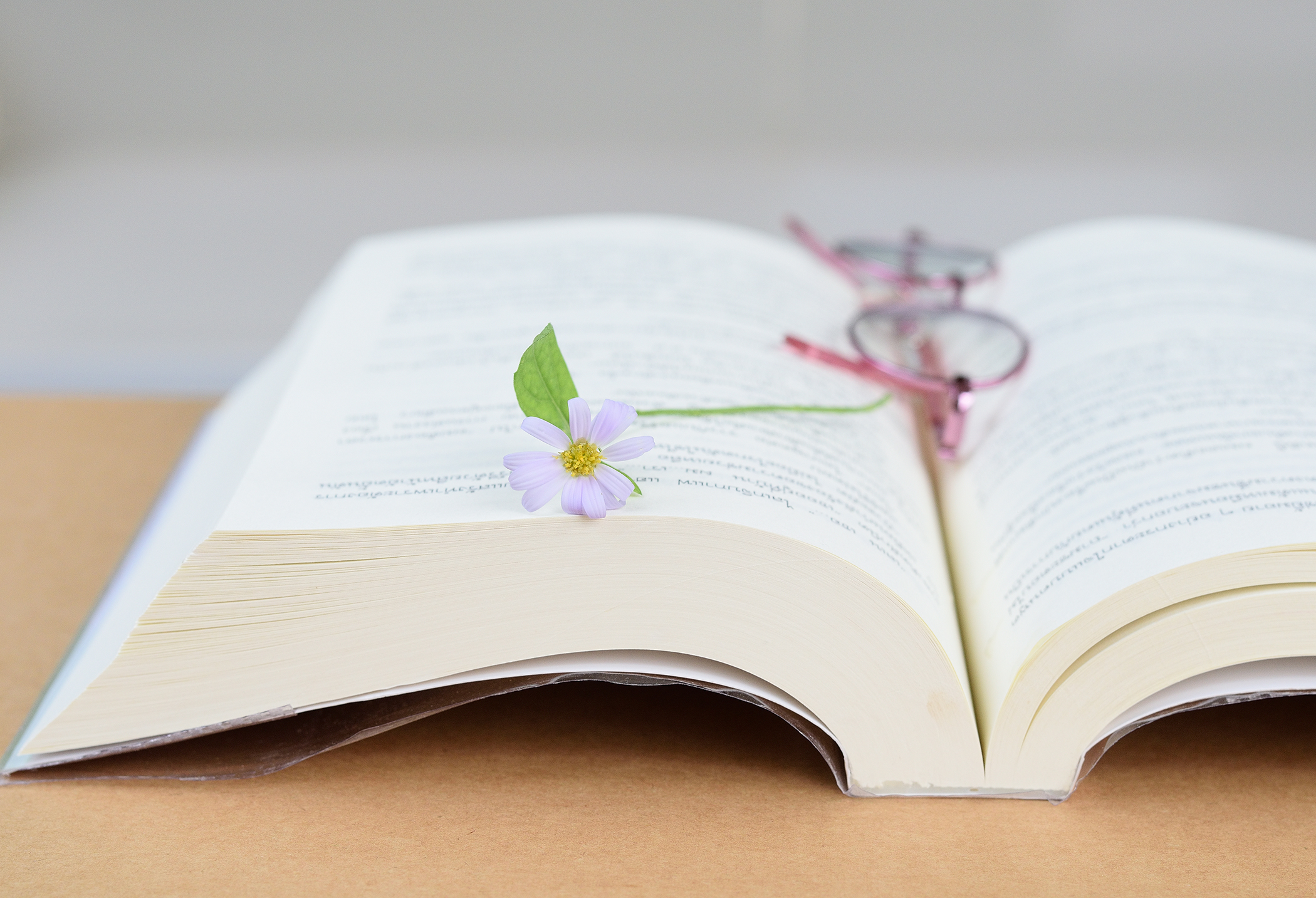 poetry book writing