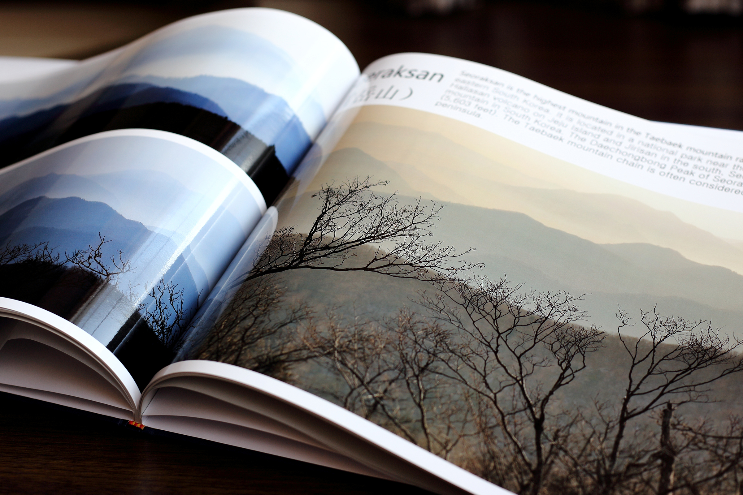 art book self publishing