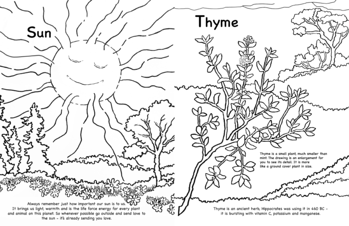 coloring book