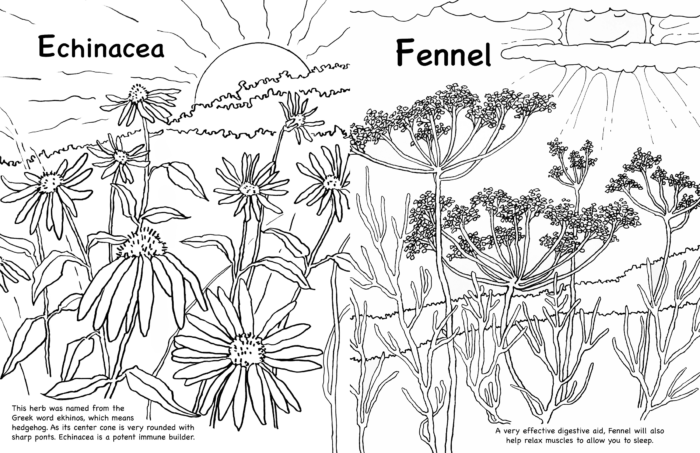 coloring book printing