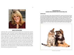 Instruction Book Printing: Spotlight on Cynthia Knox Fine Art