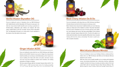 color catalog publishing