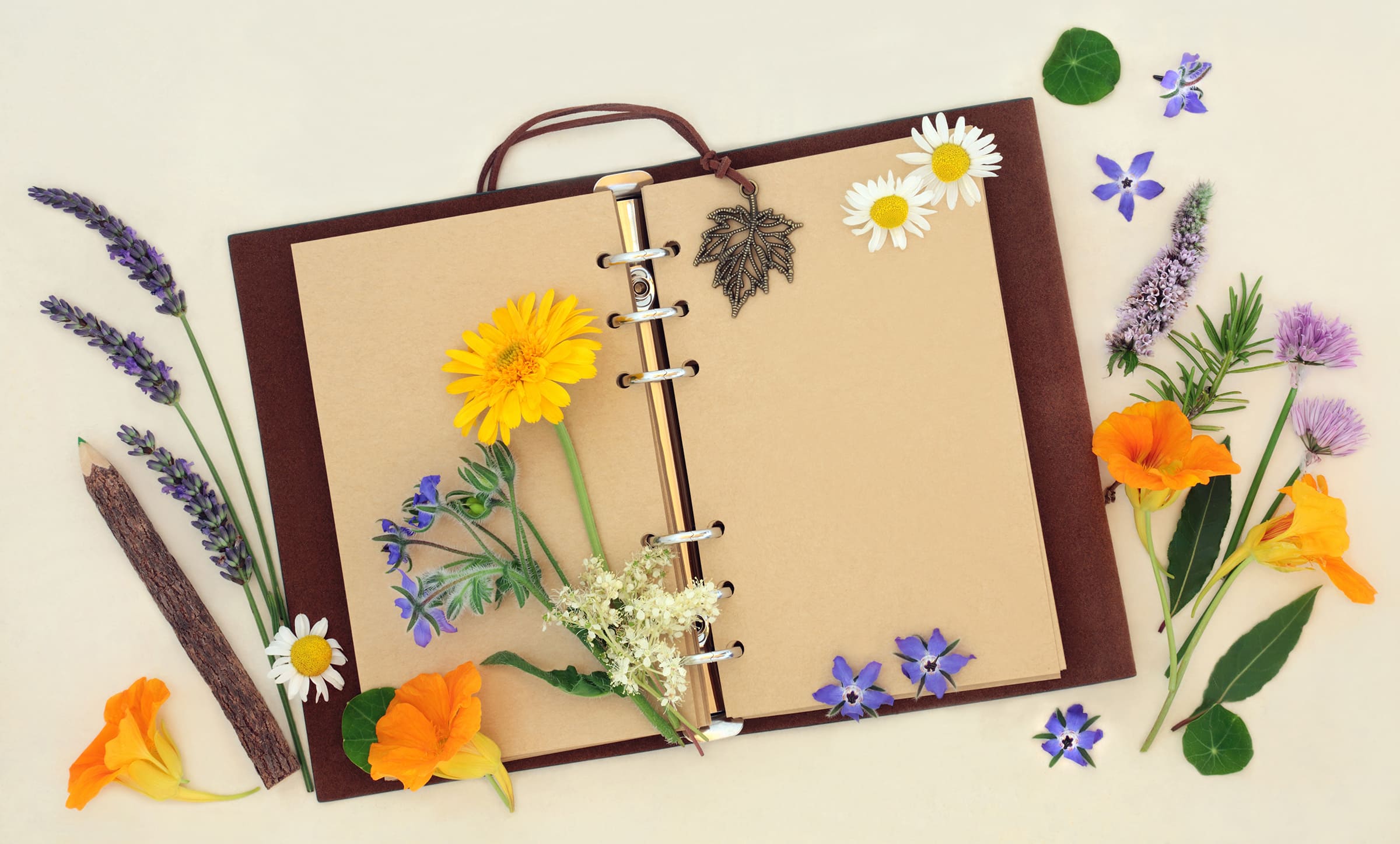 garden journal printing