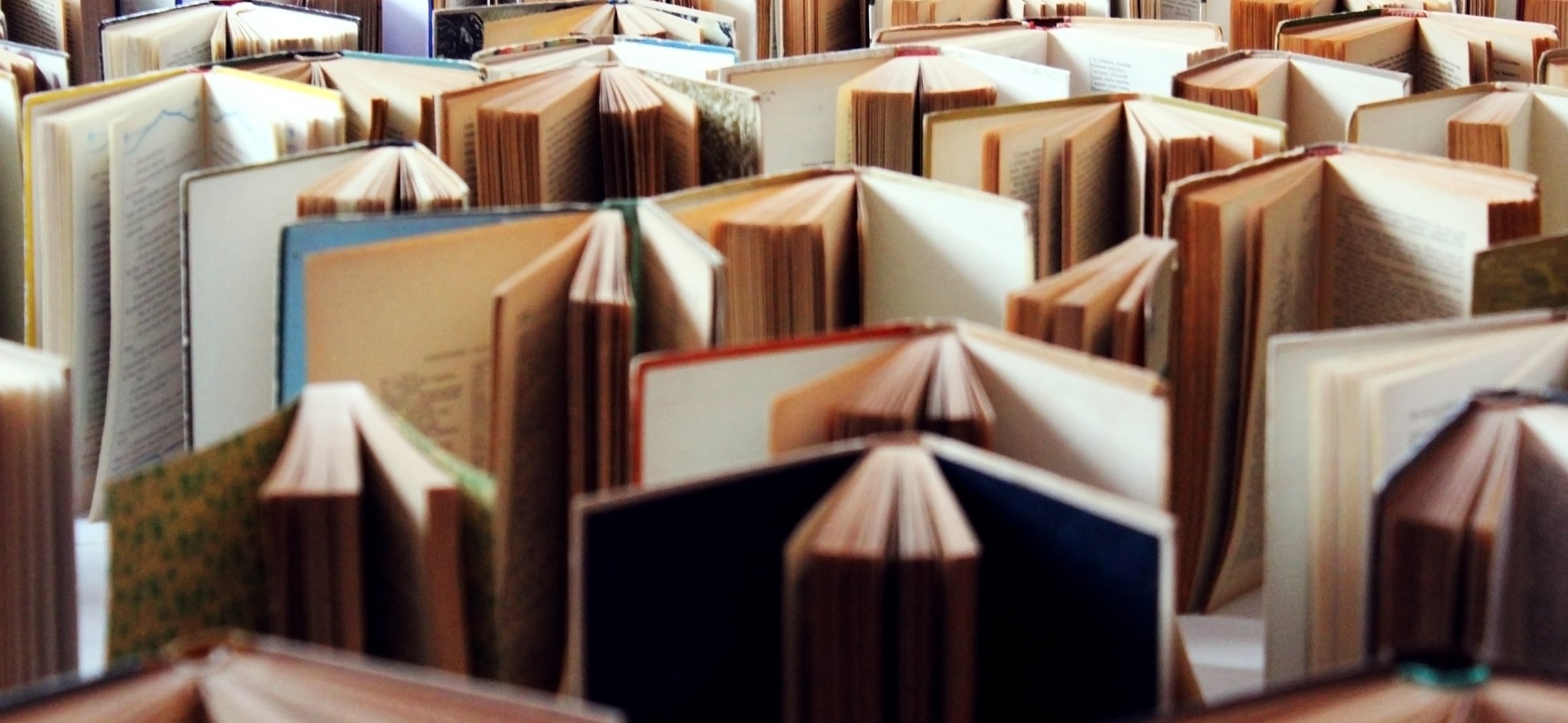professional book details